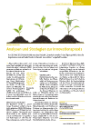 Analysen und Strategien zur Innovationspraxis